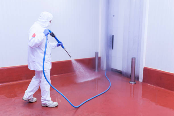 Best Residential Pressure Washing in Chisago City, MN