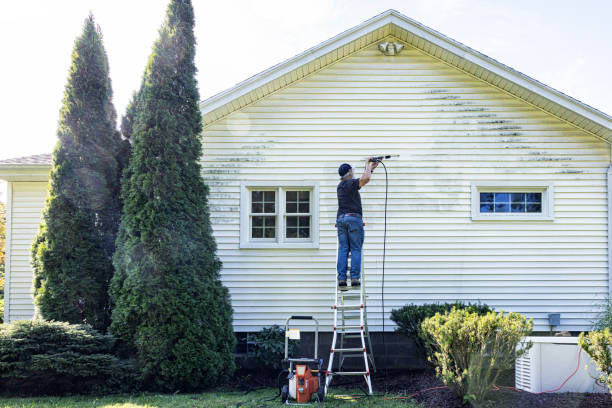Best Soft Washing for Delicate Surfaces in Chisago City, MN